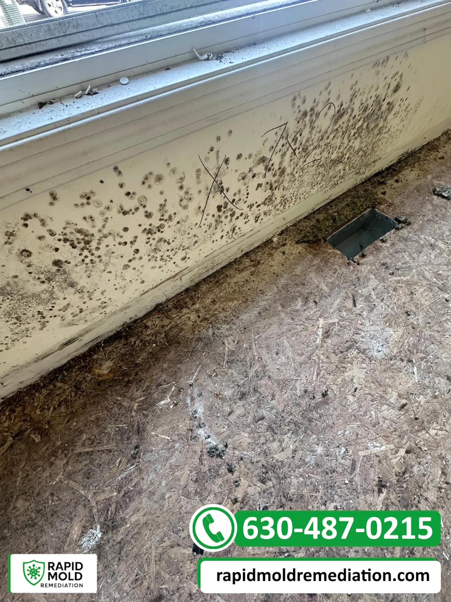 Visible mold under a window