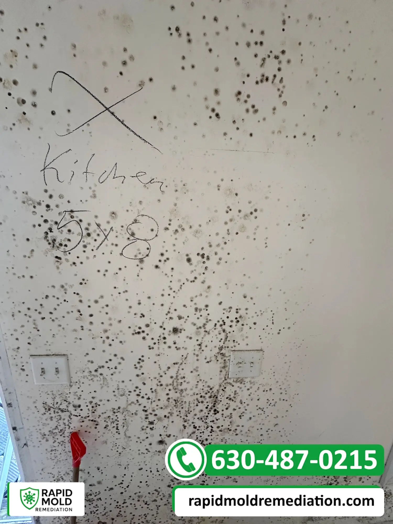 Kitchen wall marked for assessment with visible mold