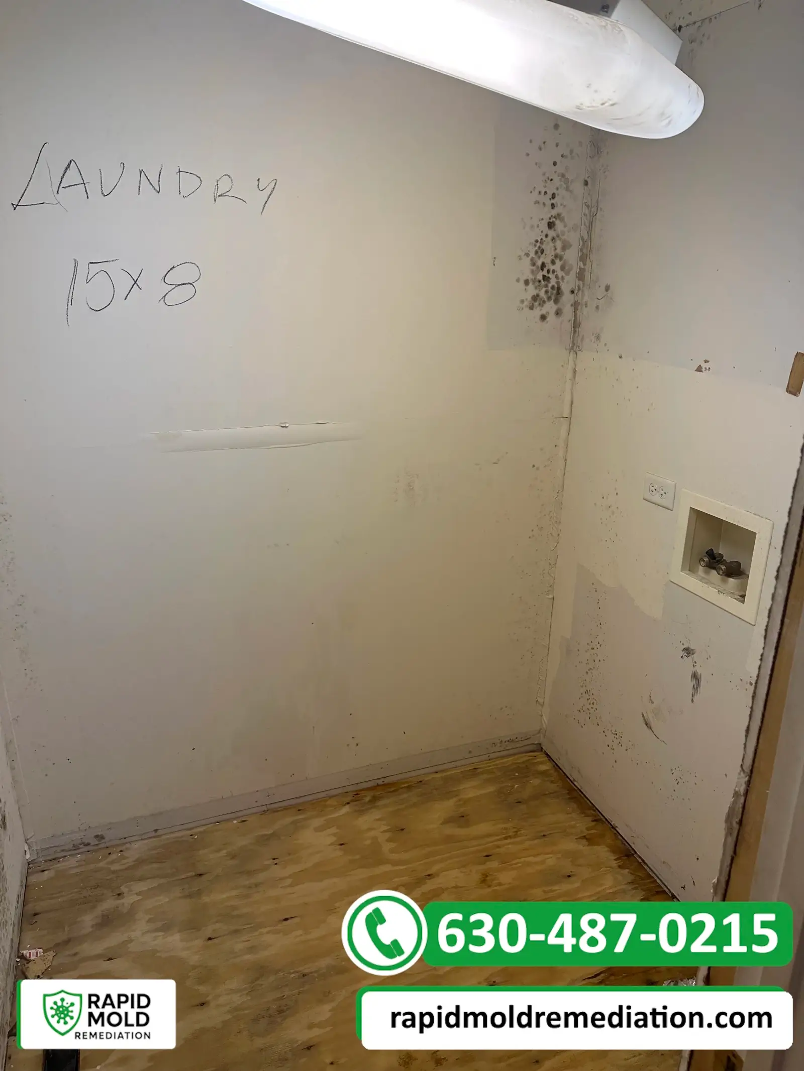Laundry wall with visible mold