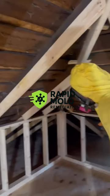 A technician in protective clothing beside attic roof framing