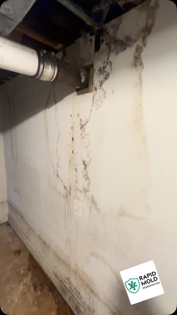An affected wall beside exposed plumbing and framing