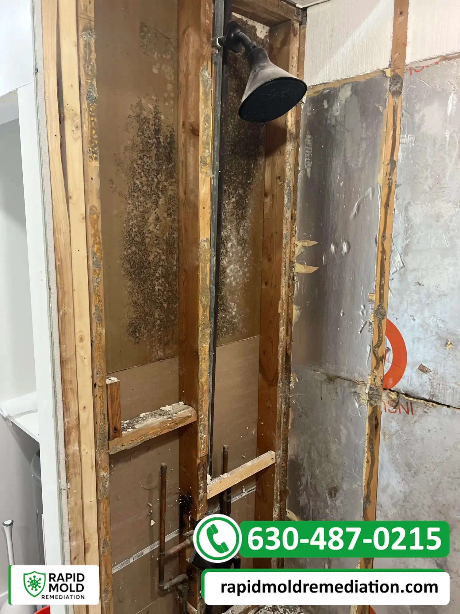 Exposed bathroom wall with visible mold